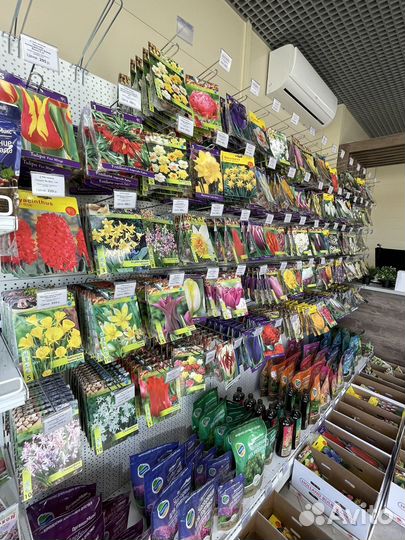 Тюльпаны, нарциссы, крокусы, первоцветы луковицы