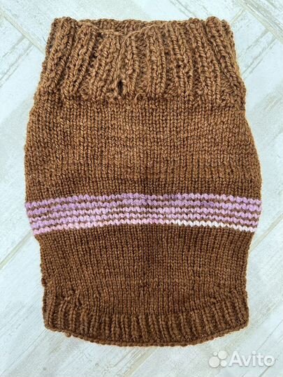 Одежда для животных