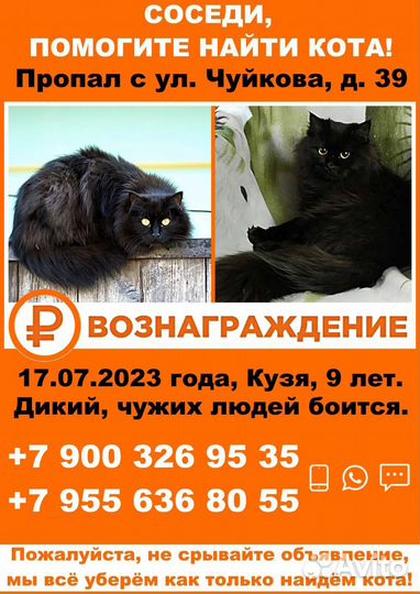 Поиск в казани