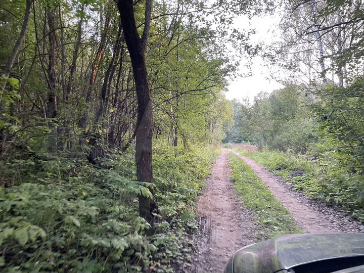 Участок 10 сот. (ИЖС)