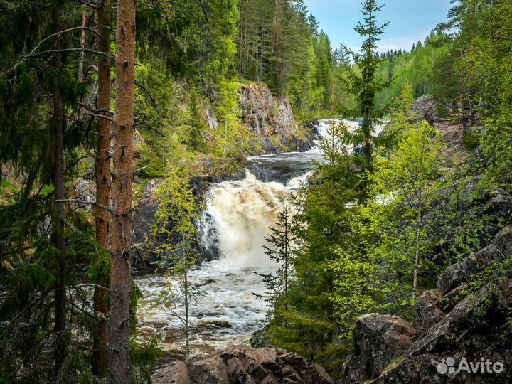 Экскурсия — Петрозаводск — Путешествие по Золотому