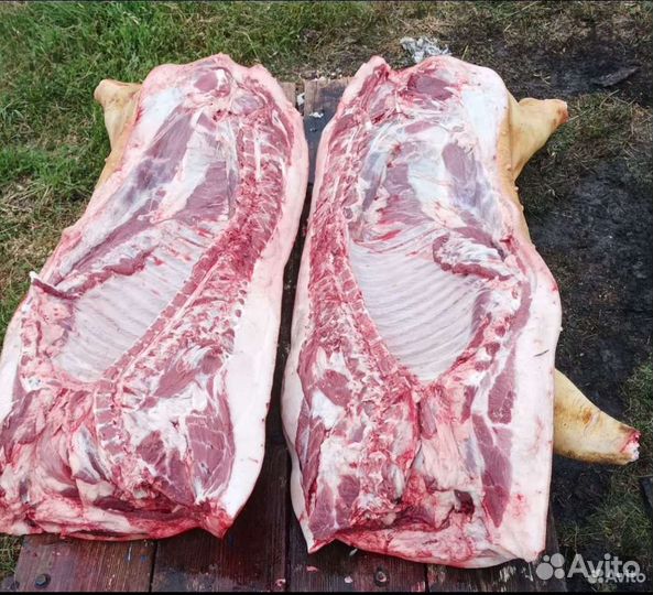 Мясо свинина домашняя
