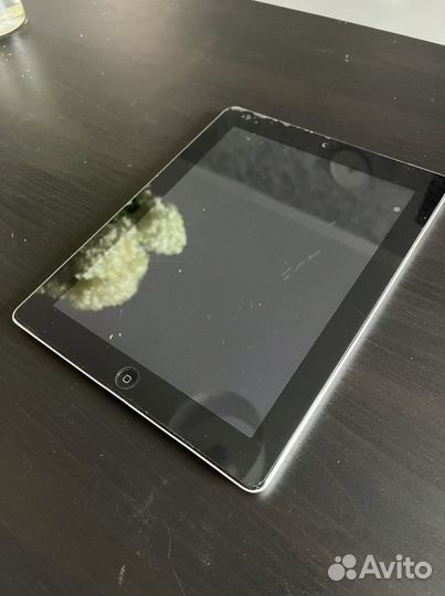 iPad