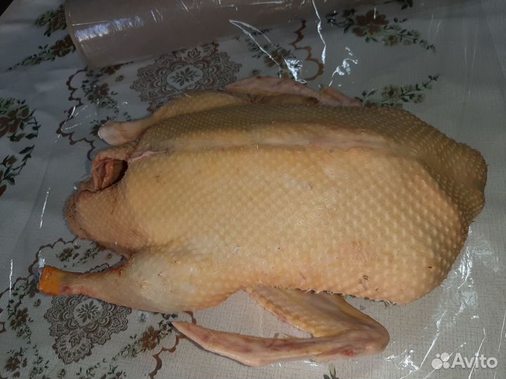 Утка домашняя мясо