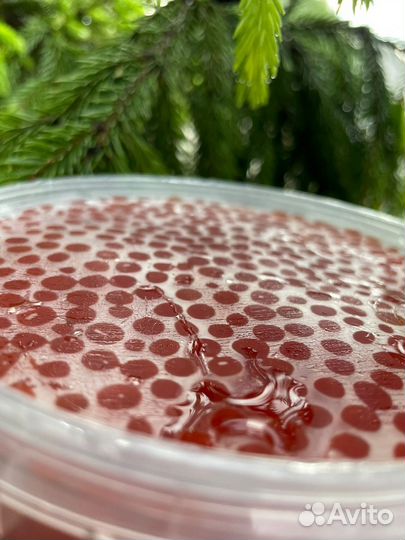 Красная икра кета оптом и в розницу