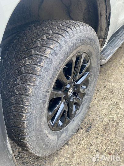 Nord Wolf Cargo 65/75 R30.5