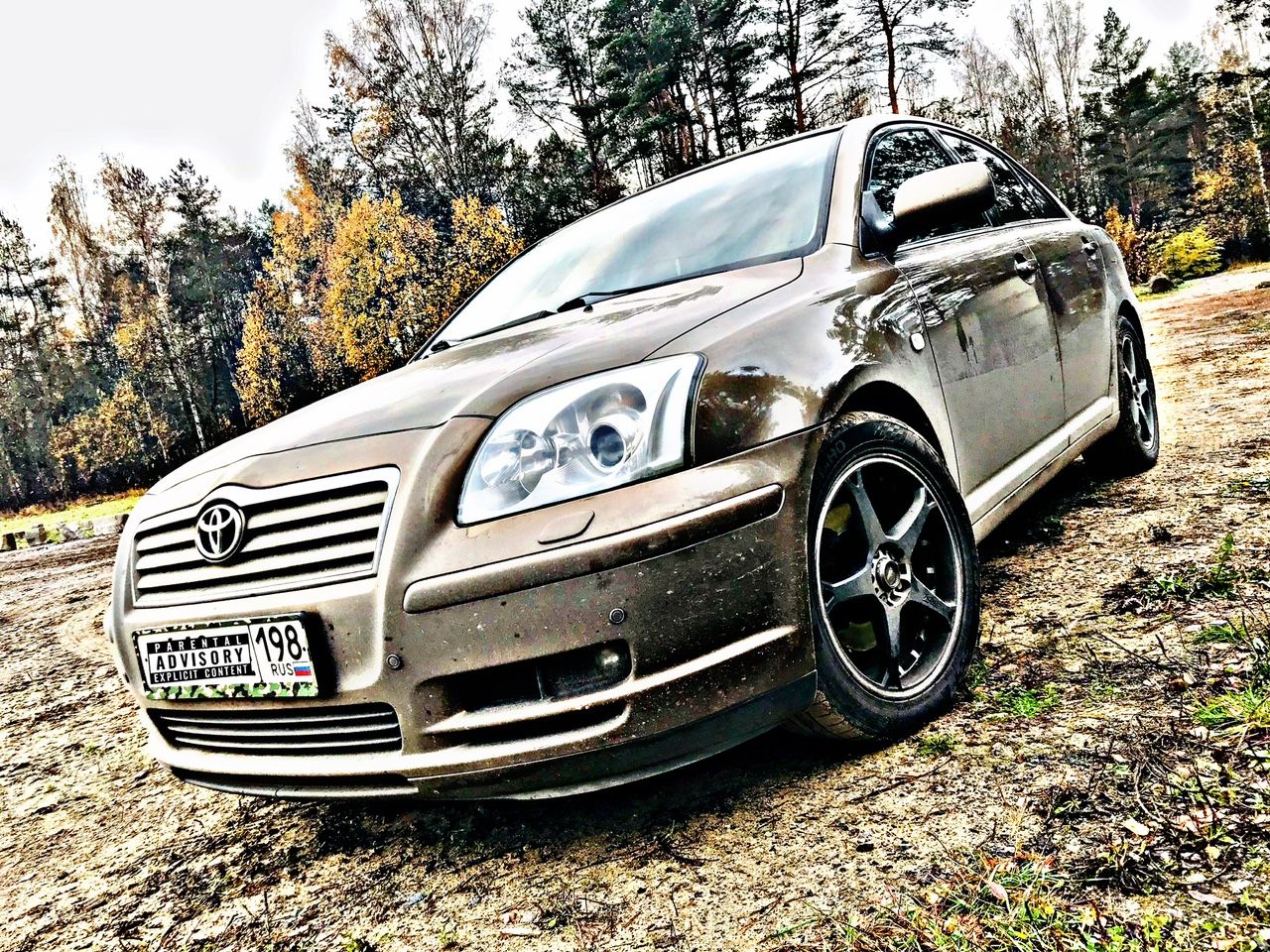 Toyota Avensis: фото владельца