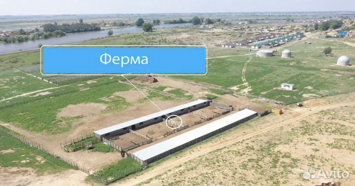 Фермерское хозяйство