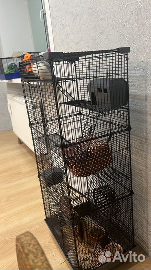 Клетка ярусная