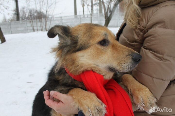 Милена добрая, нежная и робкая