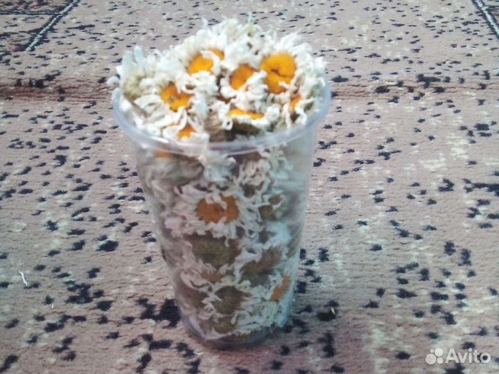 Ромашка полевая сушёная