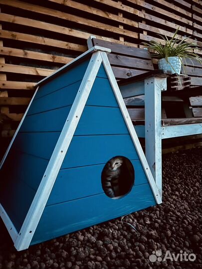 Кошачий домик