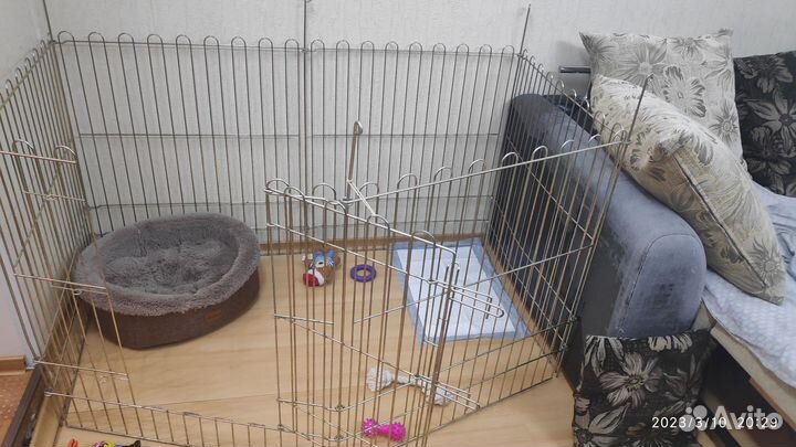 Клетка для собаки бу