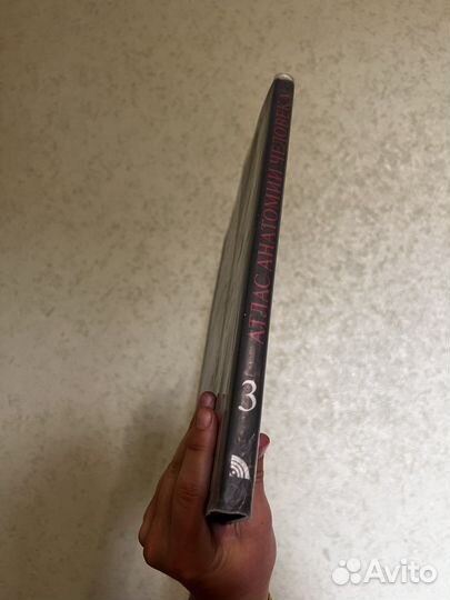 Атлас по анатомии синельников 3 том