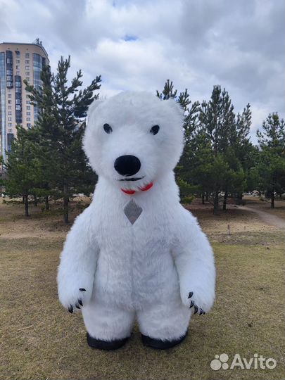 Поздравление большого белого Медведя