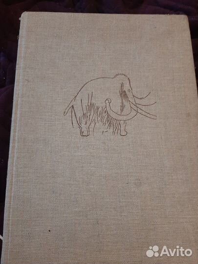 Книга о мамонтах. Иозеф Аугуста, Зденек Буриан