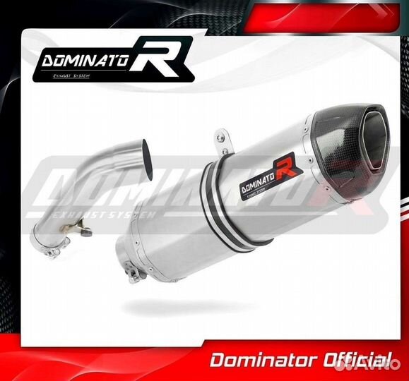 Глушитель Dominator BMW R1200R 2006-2009 Выхлоп
