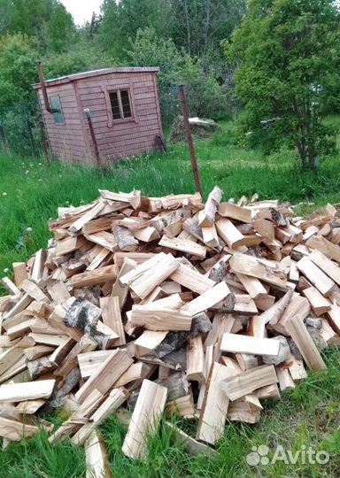 Дрова колотые Береза