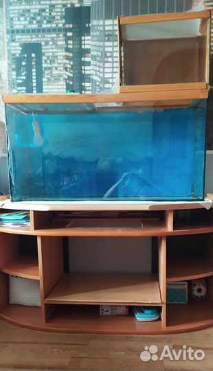 Аквариум 150 л торг