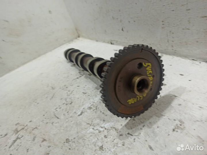 Распредвал впускной Форд