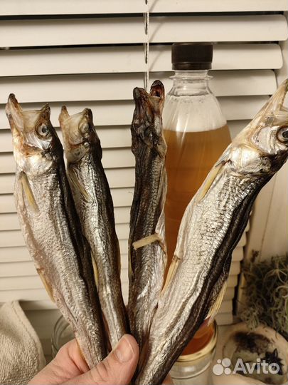 Корюшка вяленая Ерш Камбала вяленая