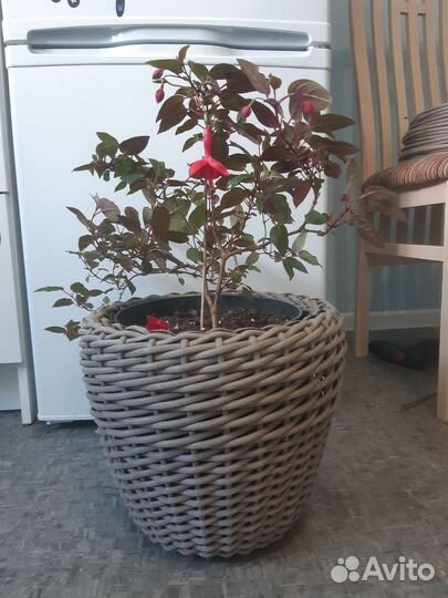 Кашпо плетеное из искусственного ротанга