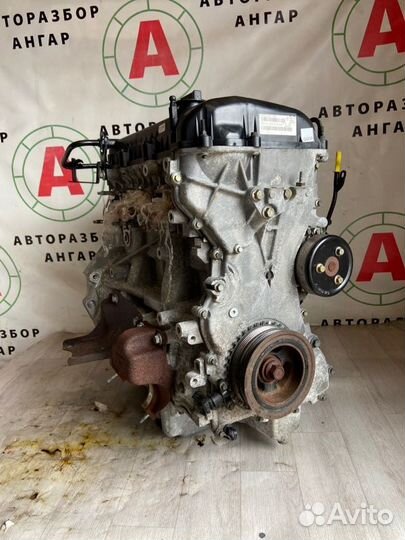 Двигатель Ford Focus qqdb (1.8) 2006