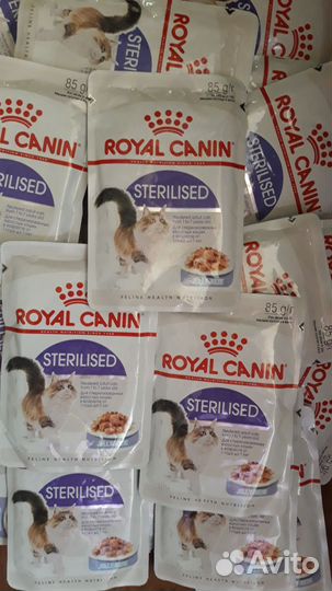 Влажный корм для кошек пёрфикт, royal canin,сухой