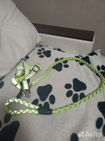 Шлейка для собаки