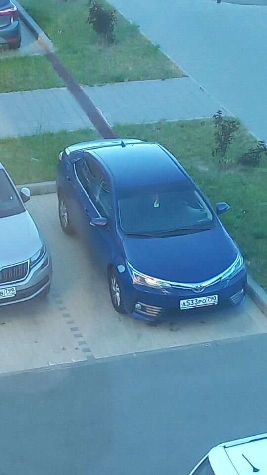 Toyota Corolla: фото владельца