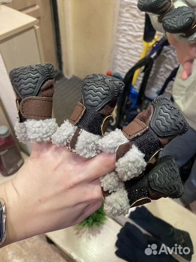 Обувь для собак