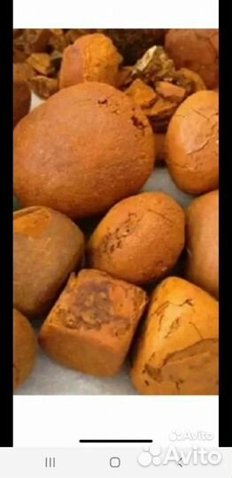 Желчный камень крс