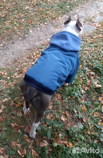 Зимний комбинезон для собак крупных пород