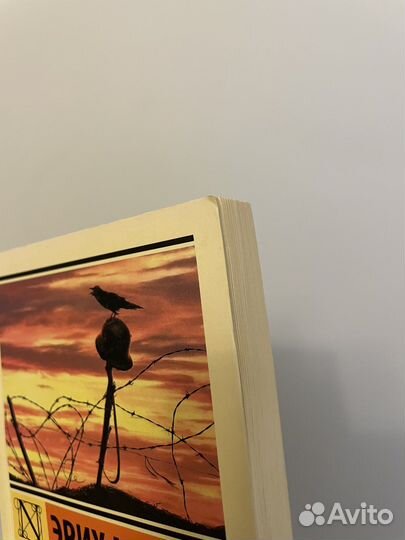 Ремарк, На западном фронте без перемен