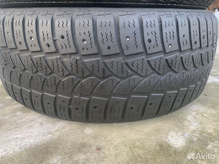 Tigar Sigura Stud 205/55 R16