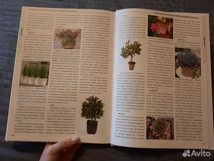 Большая энциклопедия Амулеты и Талисманы