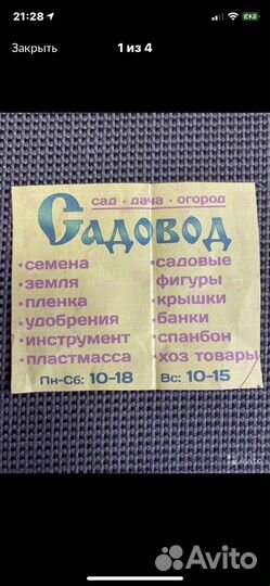 Хлорелла