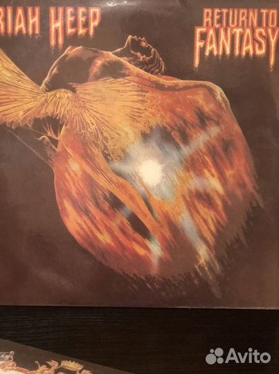 Коллекционные виниловые грампластинки