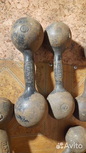 Гири 20 фунтов ганели