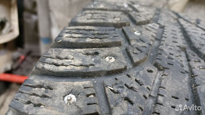 Nokian Tyres Hakkapeliitta 5 195/65 R15 95R