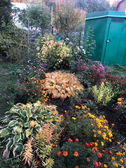 Дача 60 м² на участке 4 сот.