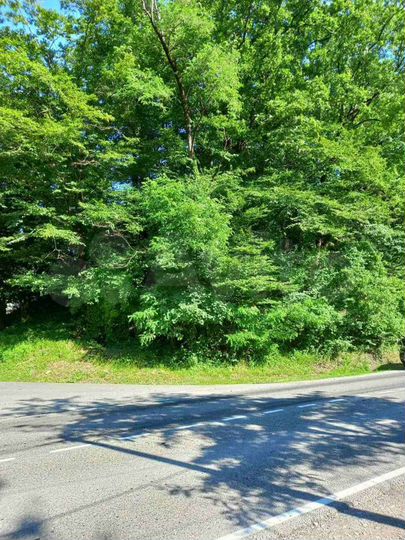 Участок 12 сот. (ИЖС)