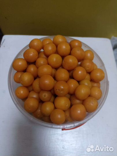 Алыча желтая
