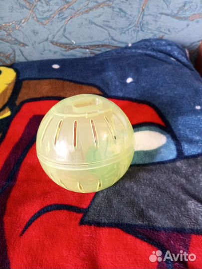 Прогулочный шар для хомяка на подставке