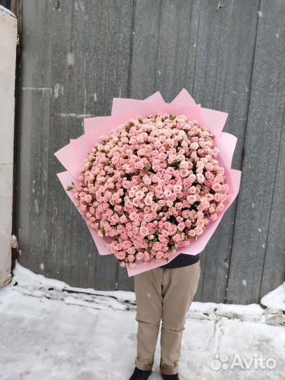 Роза букет хризантемы 21/51/101