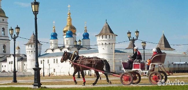 Тобольск из Омска