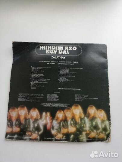 Виниловые пластинки