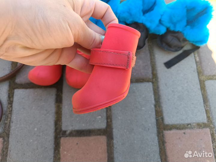 Обувь для собак