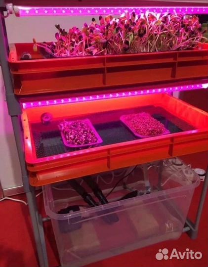 Лампа для растений