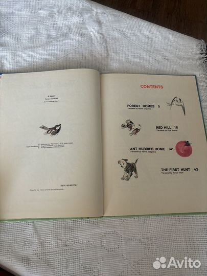 Forest homes Виталий Бианки